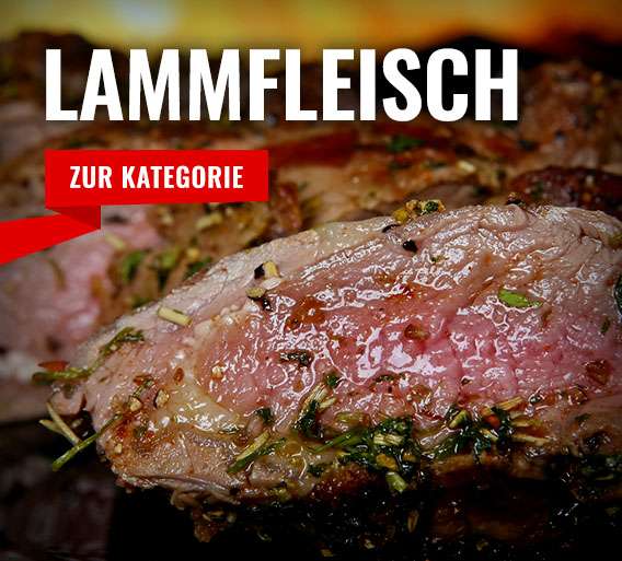 AP V4 TUTORIAL & VIDEOS AP V4 AUTOPILOT MAPPING APP V4 RT4 INFO